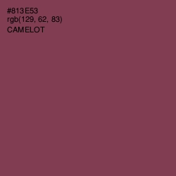 #813E53 - Camelot Color Image