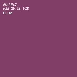 #813E67 - Plum Color Image
