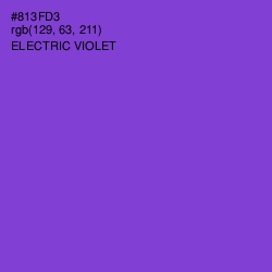 #813FD3 - Electric Violet Color Image