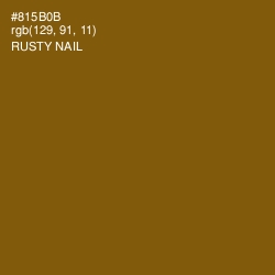 #815B0B - Rusty Nail Color Image