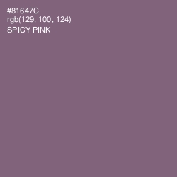 #81647C - Spicy Pink Color Image
