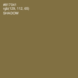 #817041 - Shadow Color Image