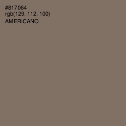 #817064 - Americano Color Image