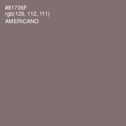 #81706F - Americano Color Image