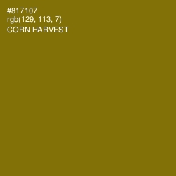 #817107 - Corn Harvest Color Image