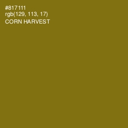 #817111 - Corn Harvest Color Image