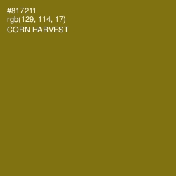 #817211 - Corn Harvest Color Image