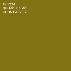 #817214 - Corn Harvest Color Image