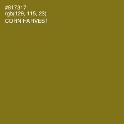 #817317 - Corn Harvest Color Image