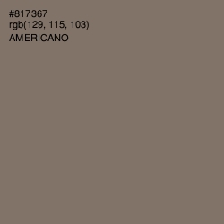 #817367 - Americano Color Image