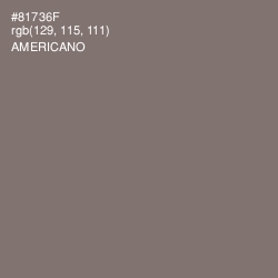 #81736F - Americano Color Image