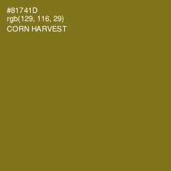 #81741D - Corn Harvest Color Image