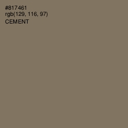 #817461 - Cement Color Image