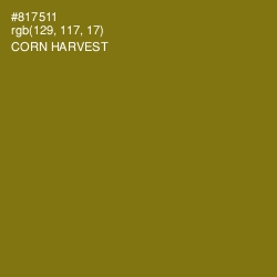 #817511 - Corn Harvest Color Image