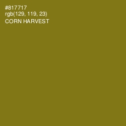 #817717 - Corn Harvest Color Image