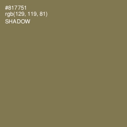 #817751 - Shadow Color Image
