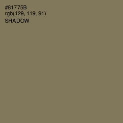 #81775B - Shadow Color Image