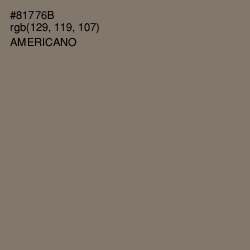 #81776B - Americano Color Image