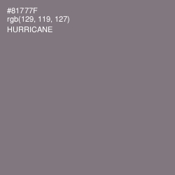 #81777F - Hurricane Color Image