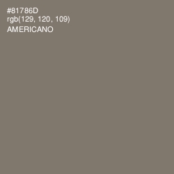#81786D - Americano Color Image