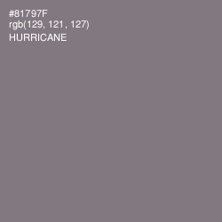 #81797F - Hurricane Color Image
