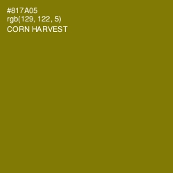 #817A05 - Corn Harvest Color Image