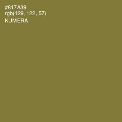 #817A39 - Kumera Color Image