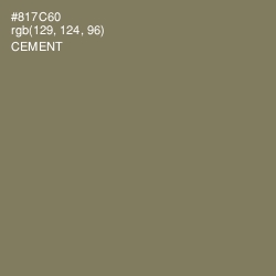 #817C60 - Cement Color Image