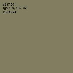 #817D61 - Cement Color Image