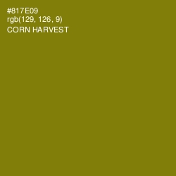 #817E09 - Corn Harvest Color Image