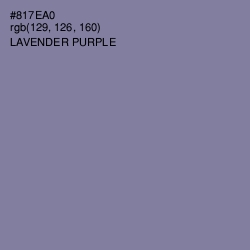 #817EA0 - Lavender Purple Color Image