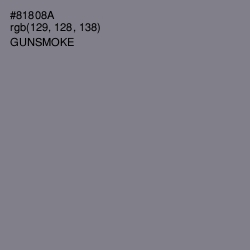 #81808A - Gunsmoke Color Image