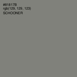 #81817B - Schooner Color Image