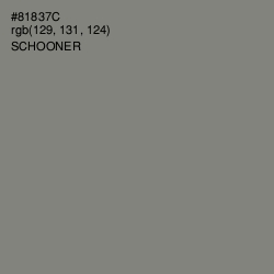 #81837C - Schooner Color Image