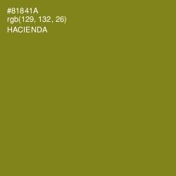 #81841A - Hacienda Color Image