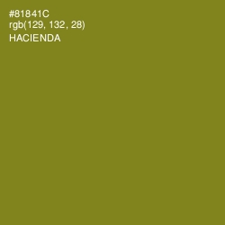 #81841C - Hacienda Color Image