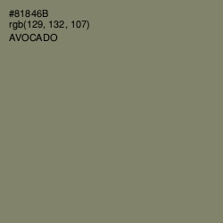 #81846B - Avocado Color Image