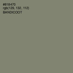 #818470 - Bandicoot Color Image
