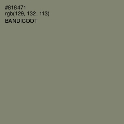 #818471 - Bandicoot Color Image