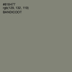 #818477 - Bandicoot Color Image