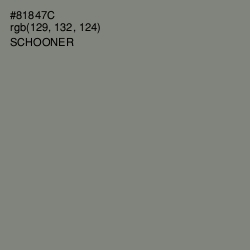 #81847C - Schooner Color Image