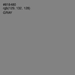 #818480 - Gray Color Image