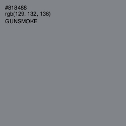 #818488 - Gunsmoke Color Image
