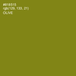 #818515 - Olive Color Image