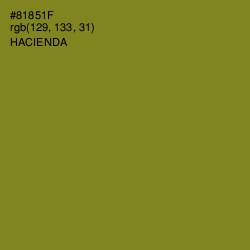 #81851F - Hacienda Color Image