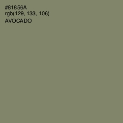 #81856A - Avocado Color Image