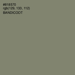 #818570 - Bandicoot Color Image