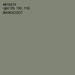 #818574 - Bandicoot Color Image