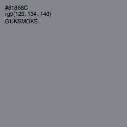 #81868C - Gunsmoke Color Image