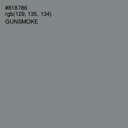 #818786 - Gunsmoke Color Image